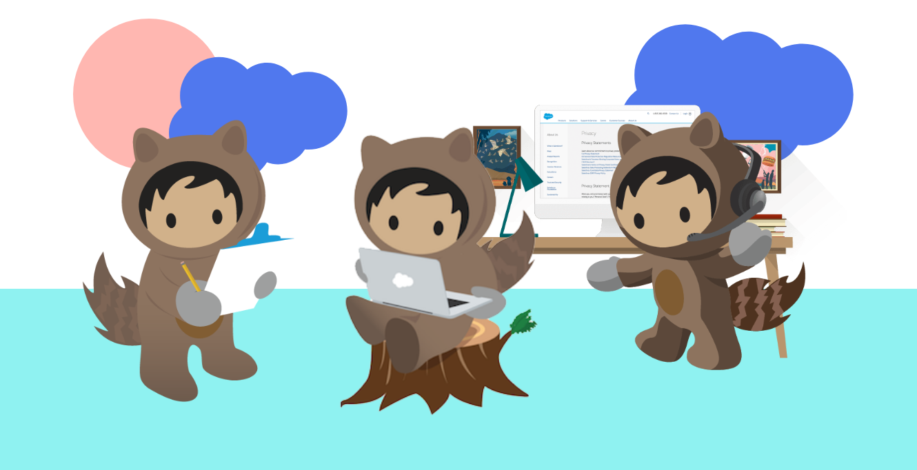 Salesforce Development team